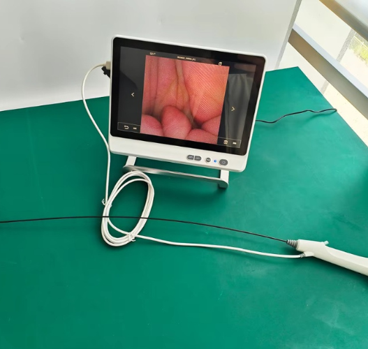 Flexible Ureteroscope 